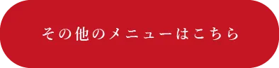 その他のメニュー